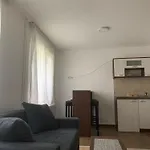 Cvet