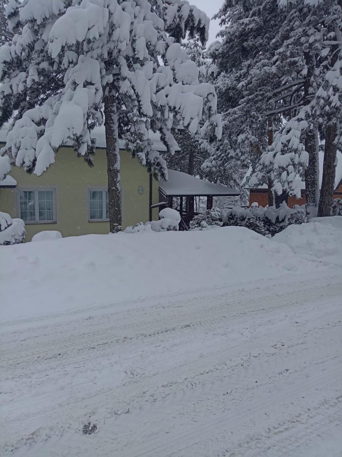 Cvet Apartment Zlatibor